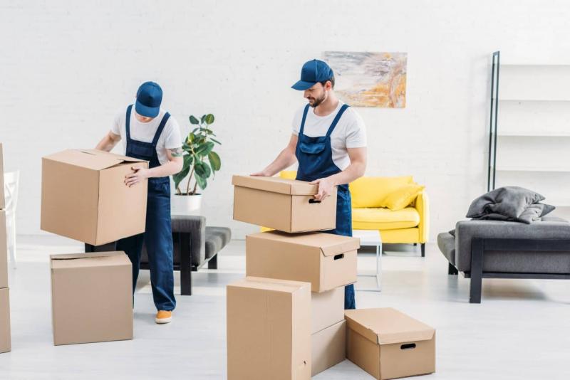 two-movers-in-uniform-carrying-cardboard-boxes-in-modern-apartment